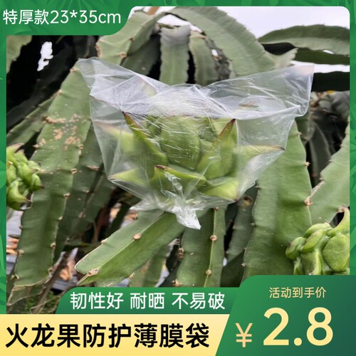 火龙果防虫袋防冻袋加厚防虫专用防雨育果袋子防果蝇防针蜂保护袋