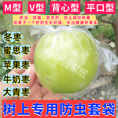 V型青枣防虫袋 平口型青枣袋 M型大青枣专用套袋 批发青枣保护袋