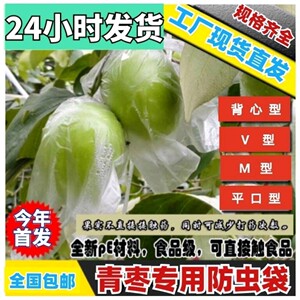 大青枣防虫袋 青枣袋 大青枣专用套袋 青枣保护袋 包邮百香果袋