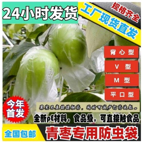 大青枣防虫袋 青枣袋 大青枣专用套袋 青枣保护袋 包邮百香果袋