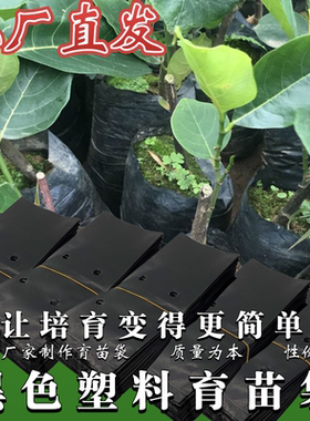 育苗袋桉树水果育苗袋槟榔营养袋黑色一次性加厚种植袋树苗营养袋