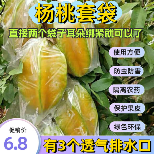 大号杨桃防虫袋杨桃套袋防虫专用袋水果套袋促生长透明保护薄膜袋