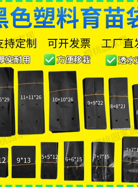 育苗袋桉树水果育苗袋槟榔营养袋黑色一次性加厚种植袋树苗营养袋