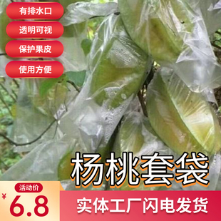 大号杨桃防虫袋杨桃套袋防虫专用袋水果套袋促生长透明保护薄膜袋