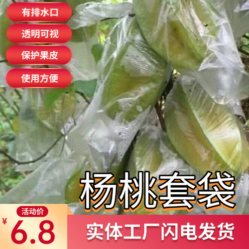 大号杨桃防虫袋杨桃套袋防虫专用袋水果套袋促生长透明保护薄膜袋