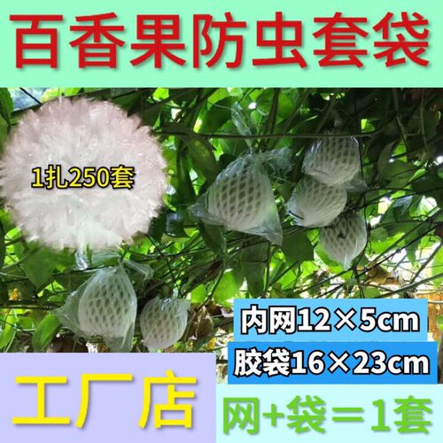 百香果防虫胶袋小香番套袋环保百香果专用防虫袋水果一次性保护袋