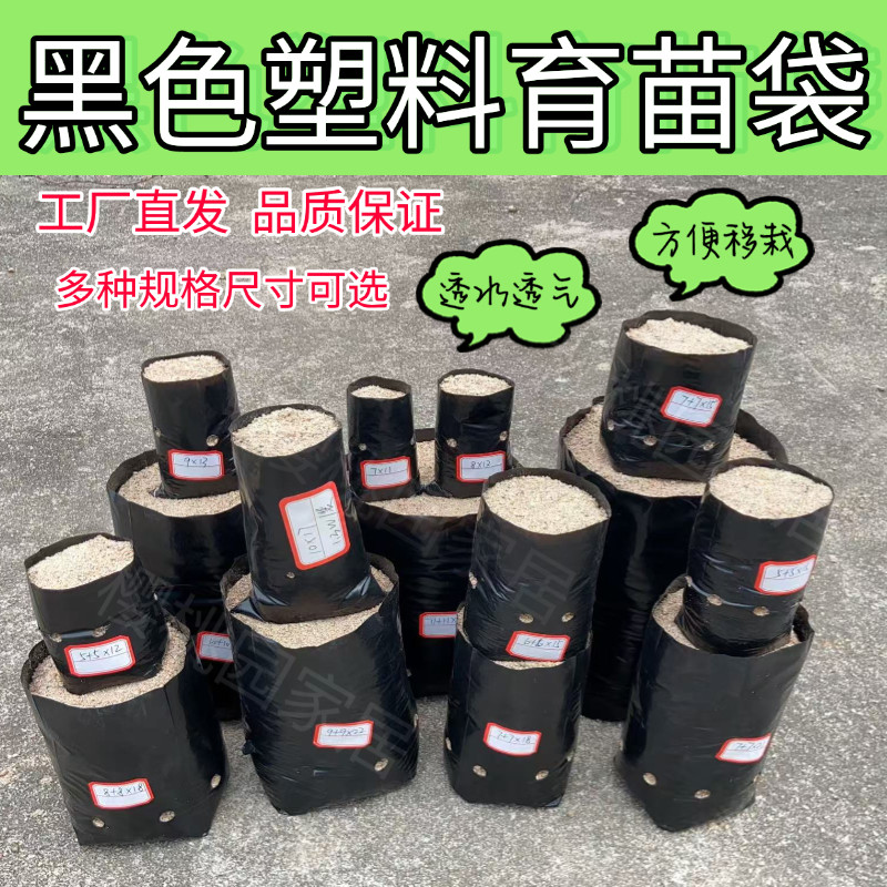 咖啡育苗袋槟榔黑色育苗袋营养袋果树苗种植神器一次性移栽加厚袋
