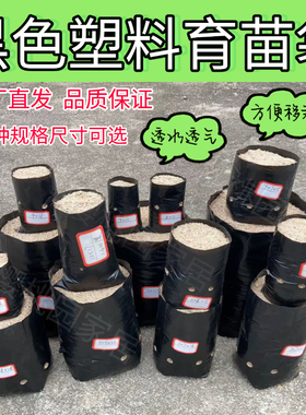 咖啡育苗袋槟榔黑色育苗袋营养袋果树苗种植神器一次性移栽加厚袋