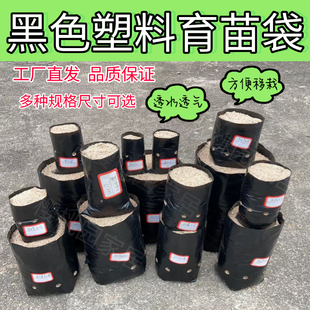 咖啡育苗袋槟榔黑色育苗袋营养袋果树苗种植神器一次性移栽加厚袋