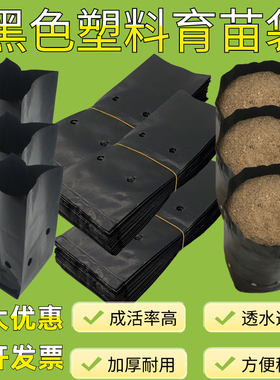 槟榔育苗袋黑色塑料育苗咖啡营养袋大号一次性花盆黑色桉树种植袋