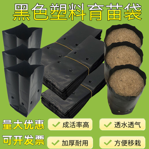 槟榔育苗袋黑色塑料育苗咖啡营养袋大号一次性花盆黑色桉树种植袋