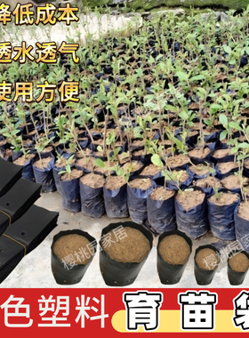 大号育苗袋桉树育苗袋槟榔营养袋黑色塑料加厚种植袋树苗营养袋