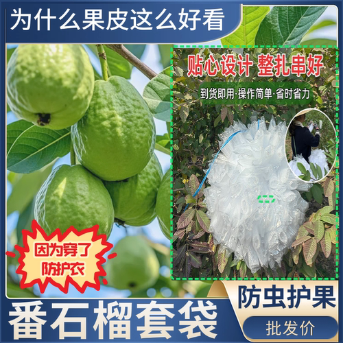 芭乐番石榴专用套袋百香果防虫小果防虫一体袋释迦大果套袋梨套袋