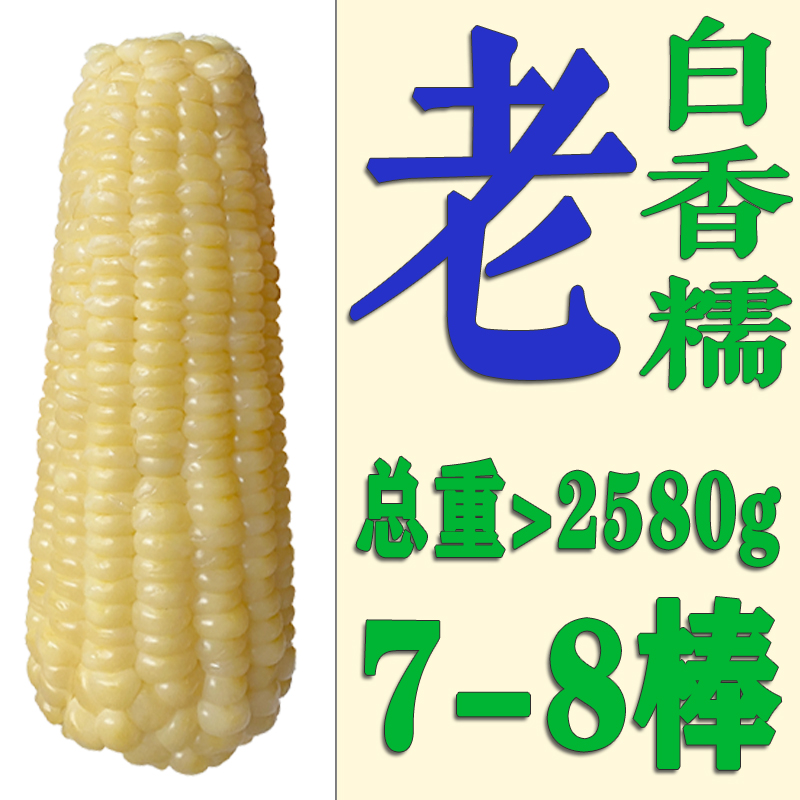 东北老玉米白糯玉米粒粒分明饱满大棒 有嚼劲真空6-7棒农家熟玉米