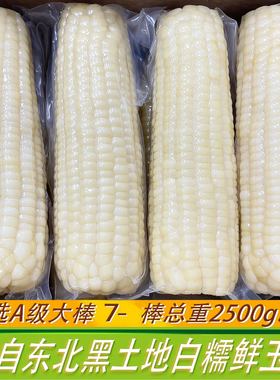 长白山糖心糯玉米棒 San姆同源通化黏玉米真空非转基因老嫩糯可选