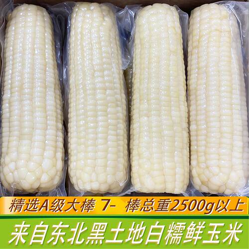 长白山糖心糯玉米非转口感可选