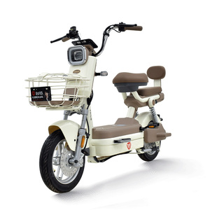 台铃猎豹72V碟刹版正品电动车自行车台铃电动车6块原装电池