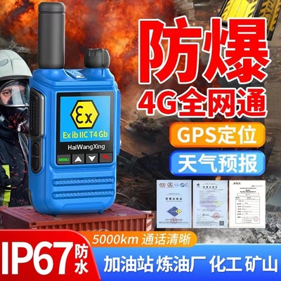 4G公网防爆对讲机防水IP67三防手台化工厂加油站天然气专用手持机