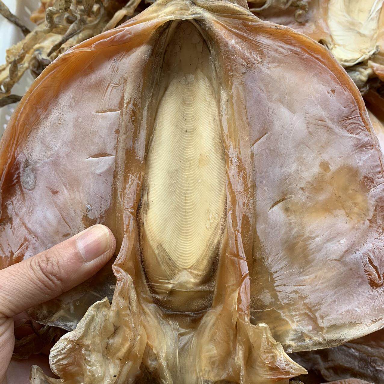 南海汕头南澳岛船晒大号墨鱼干目鱼干乌贼250g鲜晒煲汤红烧零添加