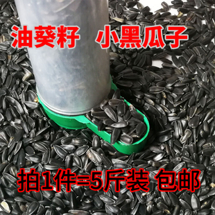 黑珍珠小瓜子/葵花子/油葵籽 鹦鹉鸟食 仓鼠零食鸟粮 鸽粮5斤包邮