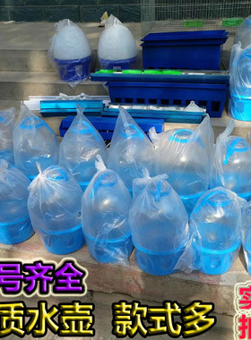 鸽用水壶信鸽用品家禽用饮水器/鸽用水槽鸟用水壶家禽饮水壶特价