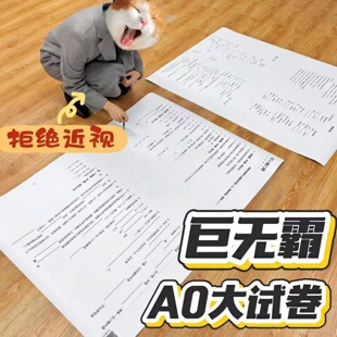 小学生巨无霸A0超大号试卷高清印刷放假搞怪趣味整蛊玩具寒假作业