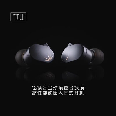 水月雨竹2/DSP版解码铝镁振膜换有线HiFi带麦调音TypeC新款耳机