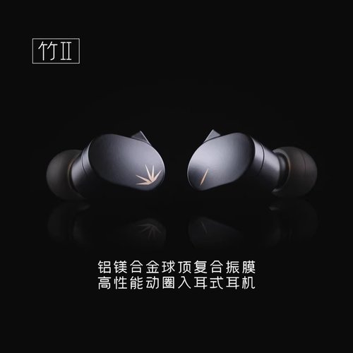 水月雨竹2/DSP版解码铝镁振膜换有线HiFi带麦调音TypeC新款耳机