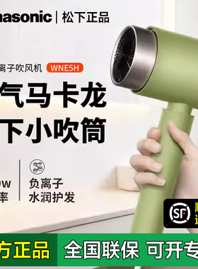 松下吹风机家用电吹风负离子恒温护发大风力吹风筒宿舍用EH-WNE5H