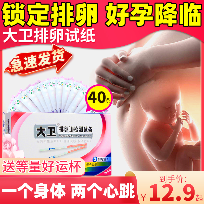 排卵试纸40条排卵检测同房2天就易孕！