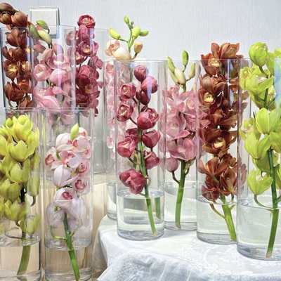 粉色大花蕙兰鲜花云南直发兰花大花惠兰鲜切花插花水培手捧花真花