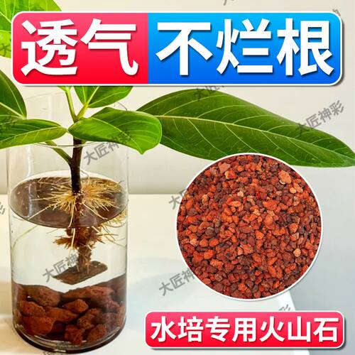 【水培专用火山石】营养土透气铺面石鱼缸造景底砂碗莲铜钱草种植