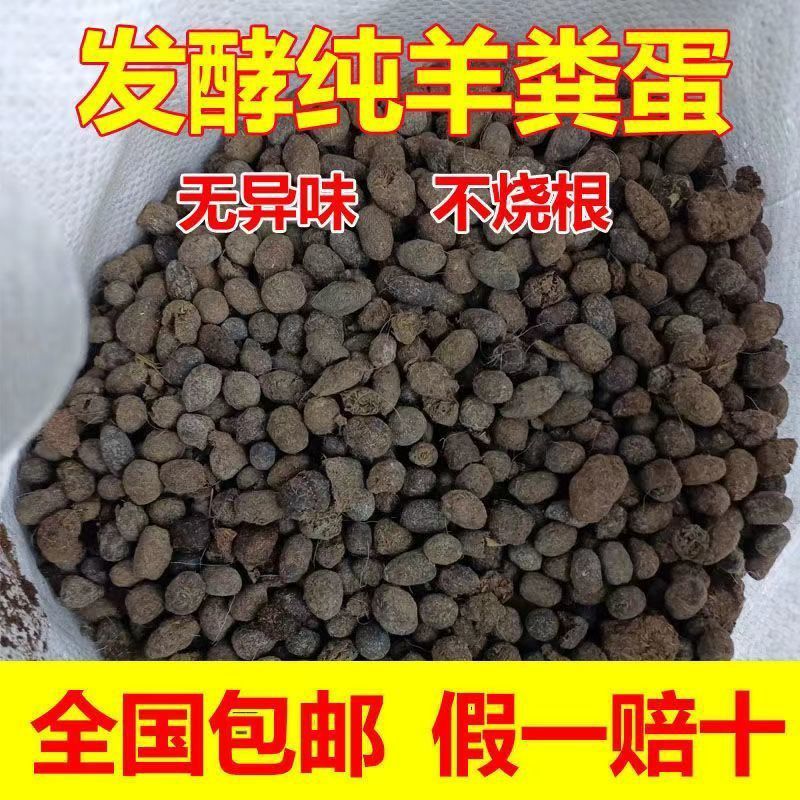 今日精选精选纯羊粪蛋有机肥颗粒大棚果园专用氮磷钾复合羊屎蛋