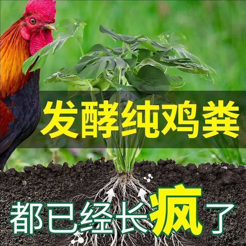 50斤鸡粪发酵有机肥有机肥料蔬菜专用种菜果树肥料有机纯鸡粪羊粪,鲜花速递/花卉仿真/绿植园艺,家庭园艺肥料,淘宝优惠券,粉丝福利购,淘宝优惠卷