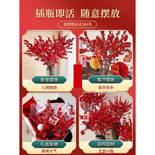 北美冬青红果真花鲜切花枝室内水培插花鲜花绿植水养年宵花卉植物