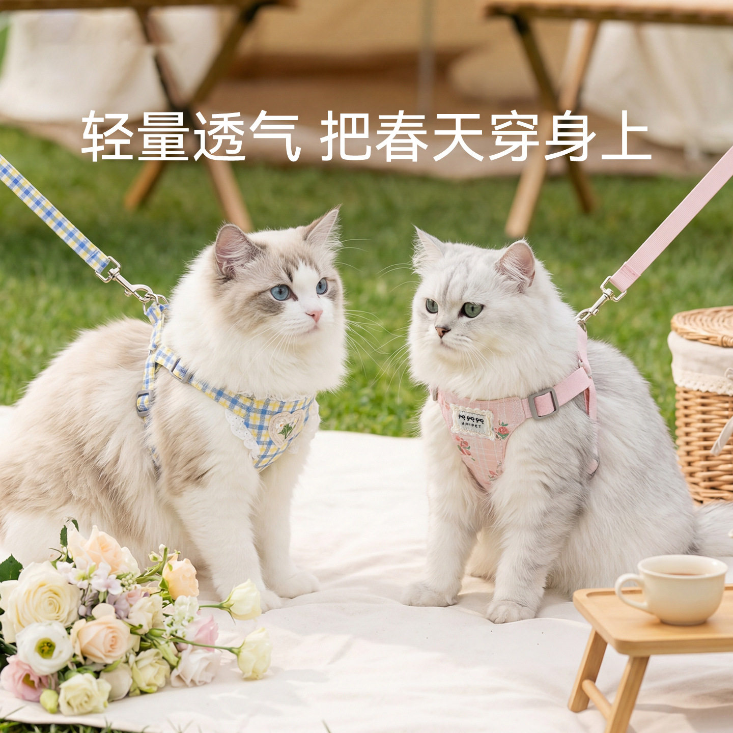 韩系春日花境胸背牵引绳外出防挣脱不勒脖溜猫绳宠物可调节背心式
