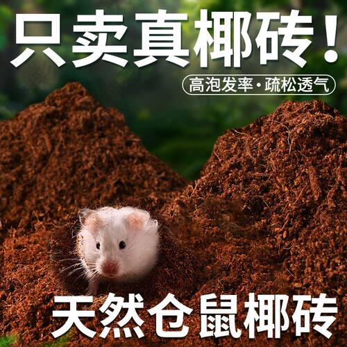 仓鼠专用无菌椰土夏季垫料金丝熊小宠物造景苔藓尿沙爬宠仓鼠苔藓