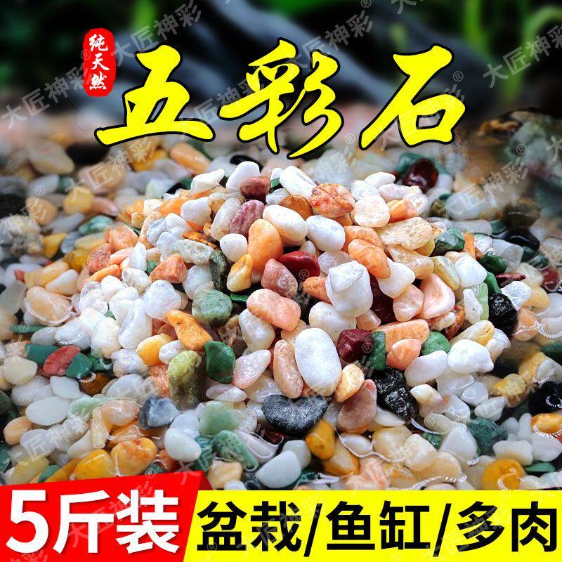 天然雨花石原石鱼缸底砂鹅卵石造景小石头装饰彩色石子五花石龟缸