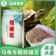乌龟冬眠土荷塘泥水生植物营养土细腻淤泥种植乌龟冬眠通用泥土