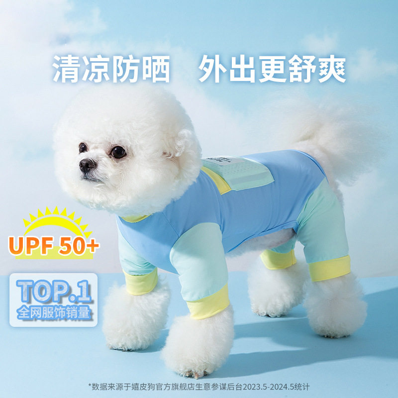 春夏季薄款泰迪比熊小型犬四脚衣猫咪透气外出狗狗防晒衣宠物衣服