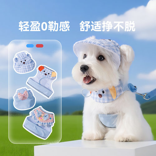狗狗牵引绳帽子口水巾胸背带四季通用外出遛狗绳防挣脱宠物胸背带