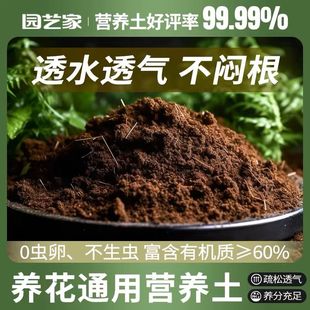 月下紫藤通用型泥炭营养种花养菜土壤有机盆栽专用