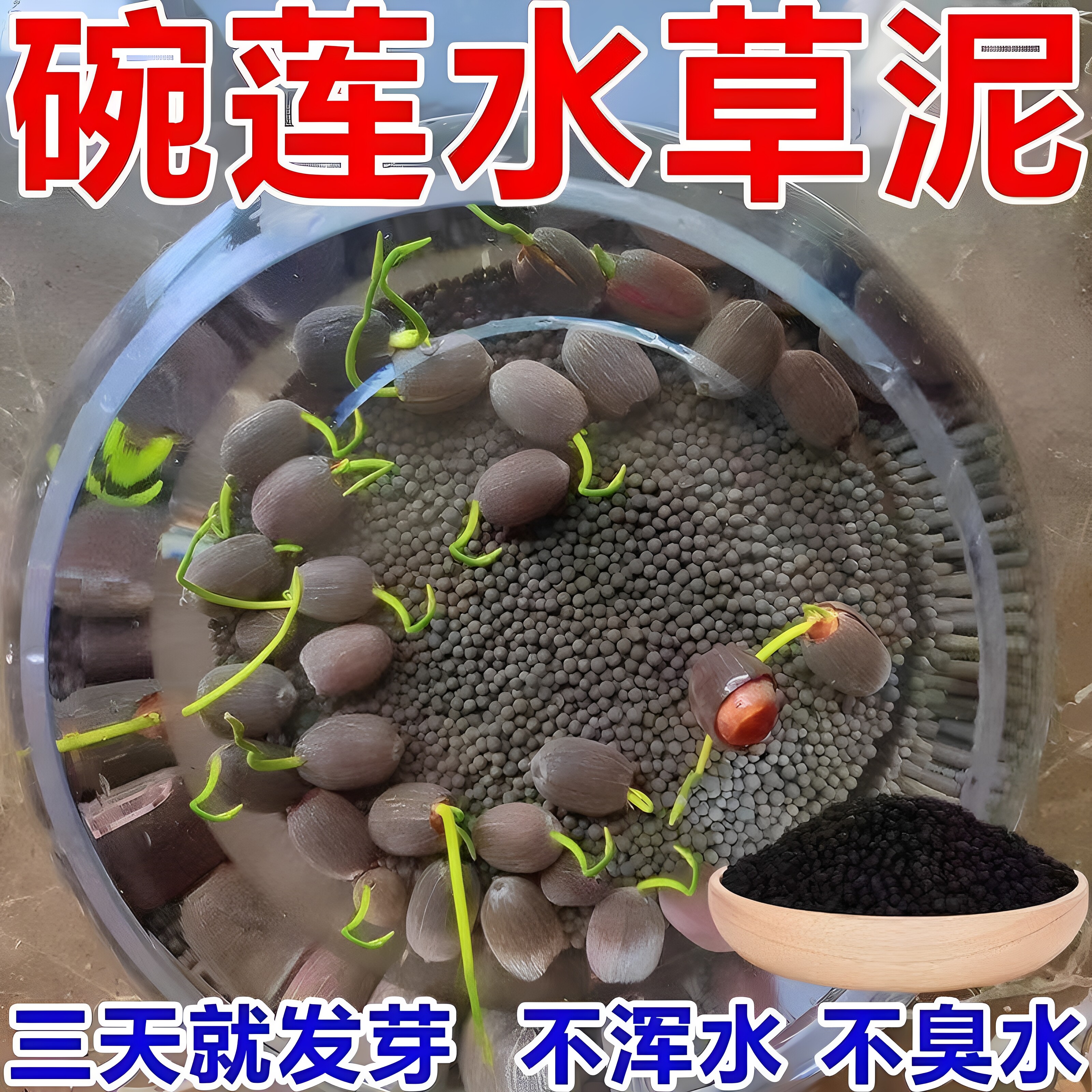 碗莲专用泥水草泥碗莲高肥力不臭水不浑水碗莲睡莲水培植物营养泥