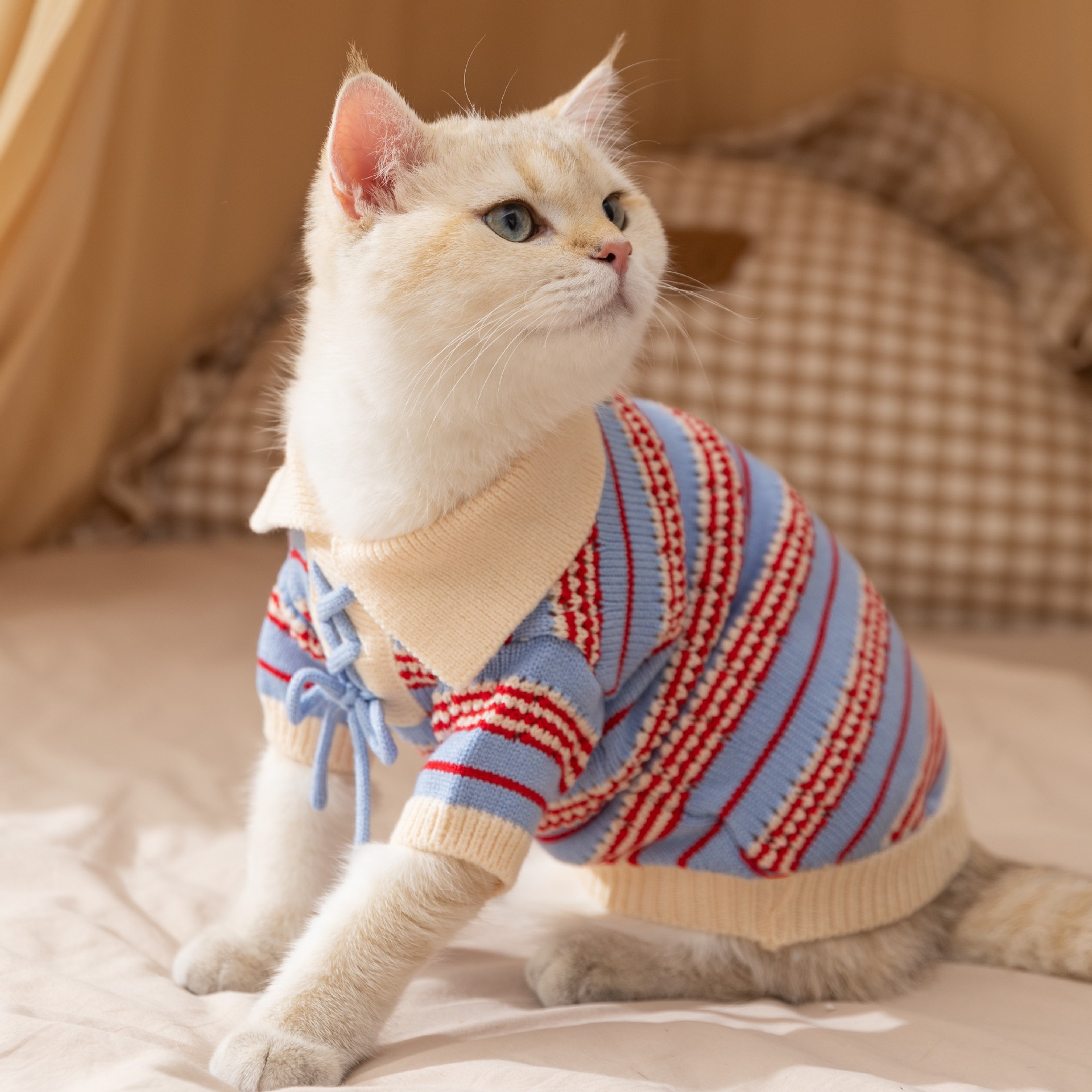 秋冬猫咪衣服条纹针织翻领毛衣加厚保暖可爱德文猫无毛猫宠物衣服