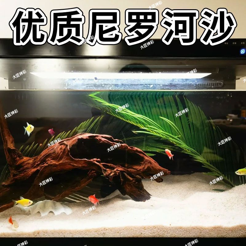 尼罗河沙化妆沙草缸南美缸鼠鱼底砂鱼缸造景底沙河沙黄色细沙水草