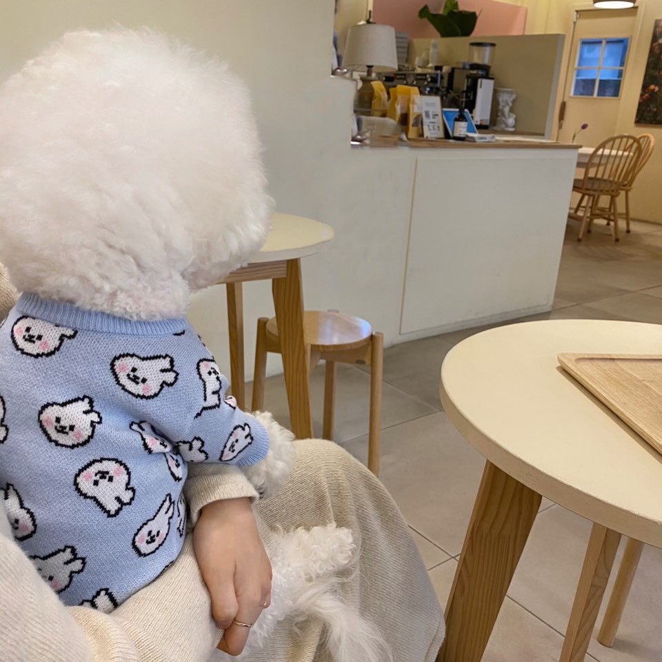 狗狗毛衣秋冬季满印兔子中小型犬泰迪比熊博美针织衫猫咪宠物衣服