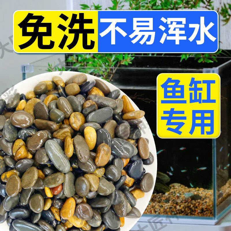 【精筛精选】鱼缸底砂南美缸造景