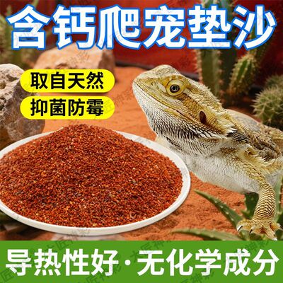 爬虫沙陆龟守宫蜥蜴爬沙鬃狮蝎子沙漠饲养造景砂蝎子蛇无菌垫材