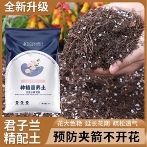 松针腐殖土君子兰专用兰科营养土