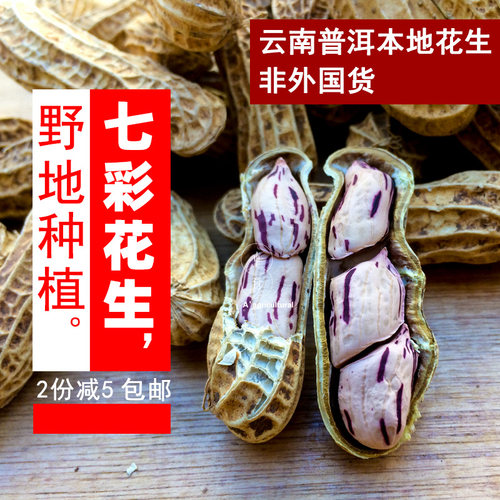 云南七彩花生山里荒地带壳种子